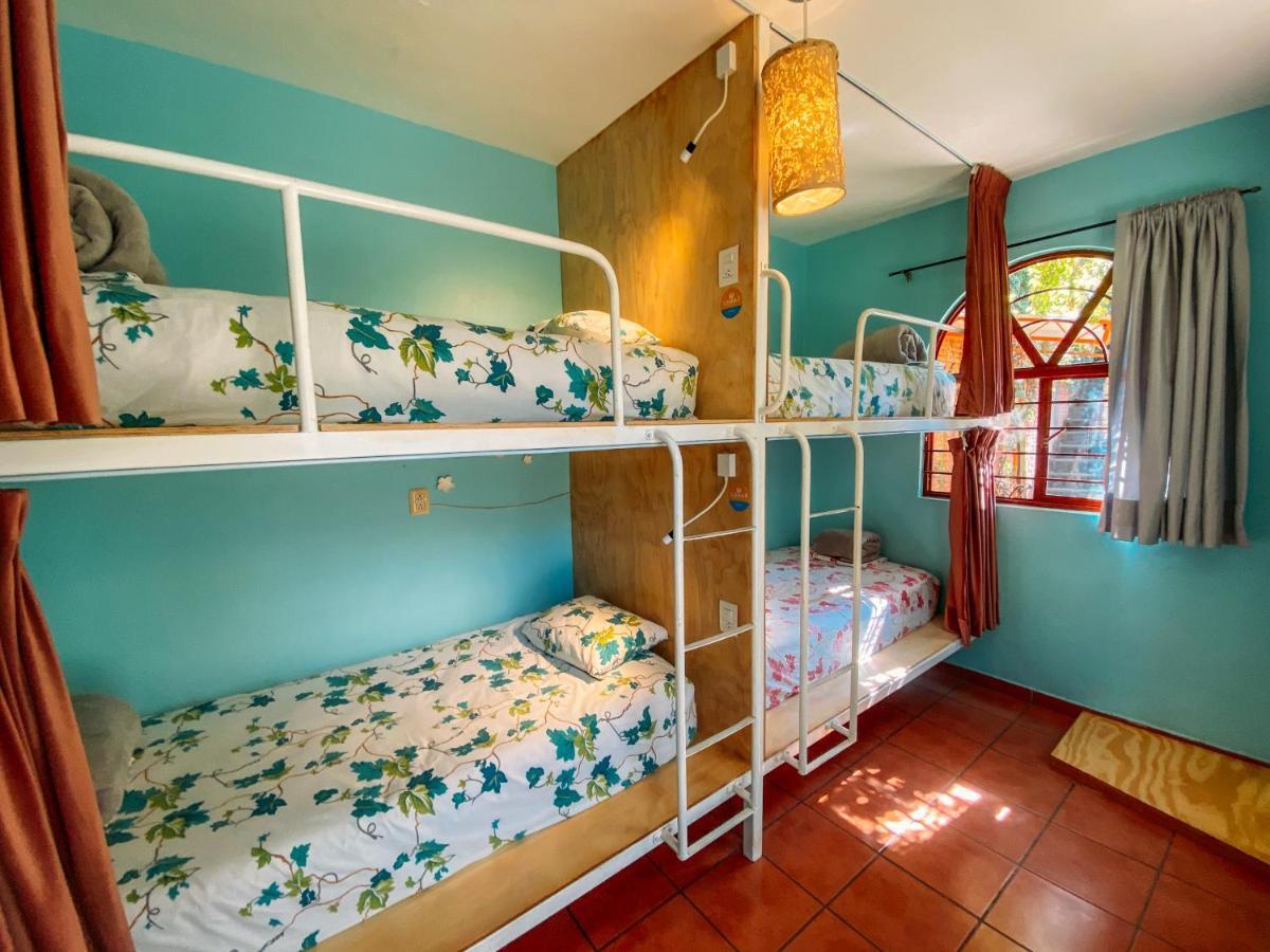Azul Cielo Hostel Oaxaca Kültér fotó
