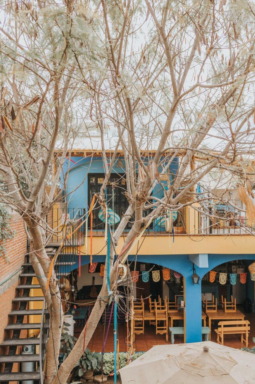 Azul Cielo Hostel Oaxaca Kültér fotó